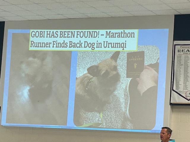 Pictures of Gobi with a caption that says, "Gobi has been found!" Marathon runner finds back dog in Urumqi.